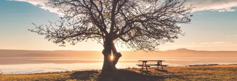 King & Whittle May 2024 Newsletter