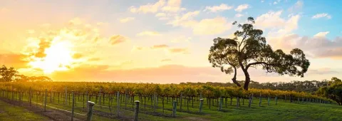 King & Whittle March 2024 Newsletter