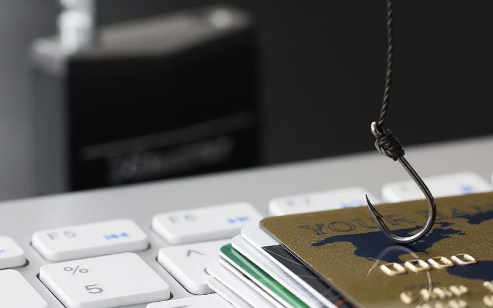 never fall for a scam